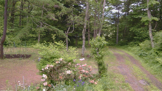 長野県菅平高原 ゆたか山荘 坂上 2026/06/10 12:15
