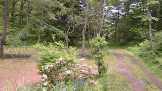 長野県菅平高原 ゆたか山荘 坂上 2026/06/10 12:30