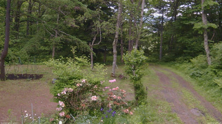 長野県菅平高原 ゆたか山荘 坂上 2026/06/10 12:45