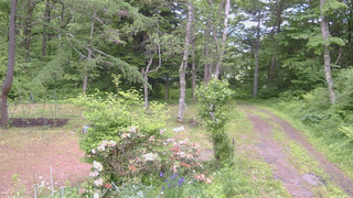 長野県菅平高原 ゆたか山荘 坂上 2026/06/10 13:00