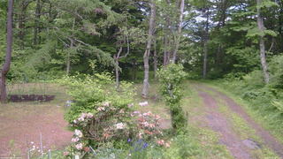 長野県菅平高原 ゆたか山荘 坂上 2026/06/10 13:15