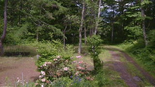 長野県菅平高原 ゆたか山荘 坂上 2026/06/10 13:45