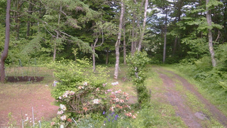 長野県菅平高原 ゆたか山荘 坂上 2026/06/10 14:00
