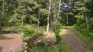 長野県菅平高原 ゆたか山荘 坂上 2026/06/10 14:30