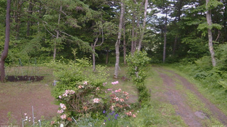 長野県菅平高原 ゆたか山荘 坂上 2026/06/10 14:45