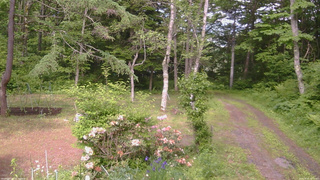 長野県菅平高原 ゆたか山荘 坂上 2026/06/10 15:00
