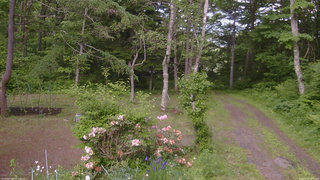長野県菅平高原 ゆたか山荘 坂上 2026/06/10 15:15