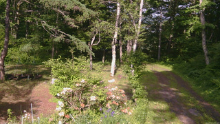 長野県菅平高原 ゆたか山荘 坂上 2026/06/10 16:00