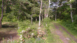 長野県菅平高原 ゆたか山荘 坂上 2026/06/10 16:30