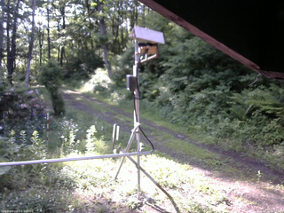 長野県菅平高原 ゆたか山荘 南側 2026/06/11 06:45