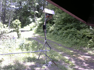 長野県菅平高原 ゆたか山荘 南側 2026/06/11 11:45