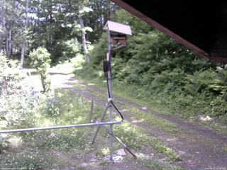 長野県菅平高原 ゆたか山荘 南側 2026/06/11 12:30