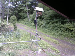 長野県菅平高原 ゆたか山荘 南側 2026/06/11 15:00
