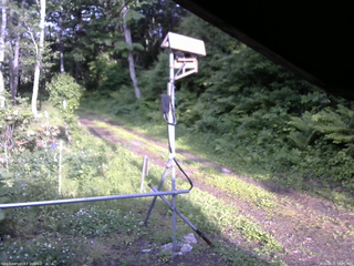 長野県菅平高原 ゆたか山荘 南側 2026/06/11 16:45