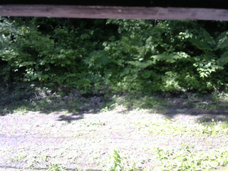 長野県菅平高原 ゆたか山荘 東側(坂下) 2026/06/11 08:15