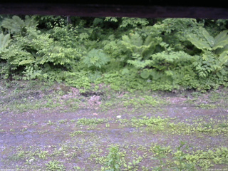 長野県菅平高原 ゆたか山荘 東側(坂下) 2026/06/11 13:45