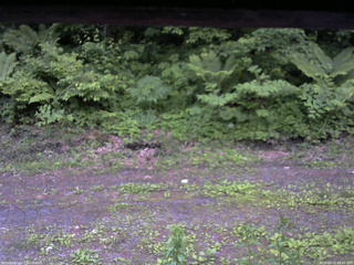長野県菅平高原 ゆたか山荘 東側(坂下) 2026/06/11 18:45