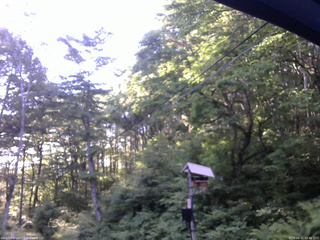長野県菅平高原 ゆたか山荘 温度計 2026/06/11 05:45