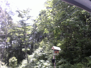 長野県菅平高原 ゆたか山荘 温度計 2026/06/11 09:45