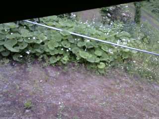 長野県菅平高原 ゆたか山荘 駐車場 2026/06/11 05:00