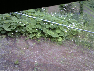 長野県菅平高原 ゆたか山荘 駐車場 2026/06/11 05:15