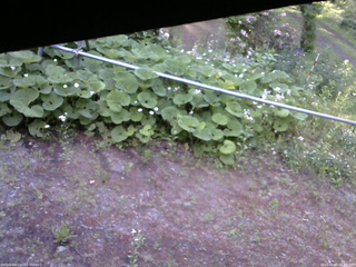 長野県菅平高原 ゆたか山荘 駐車場 2026/06/11 05:45