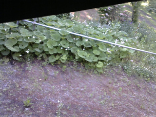長野県菅平高原 ゆたか山荘 駐車場 2026/06/11 06:15