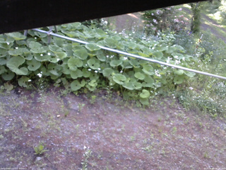 長野県菅平高原 ゆたか山荘 駐車場 2026/06/11 06:30