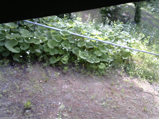長野県菅平高原 ゆたか山荘 駐車場 2026/06/11 07:30