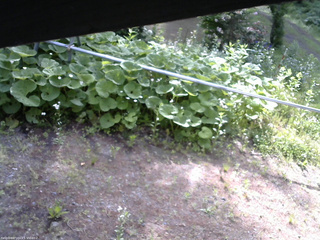 長野県菅平高原 ゆたか山荘 駐車場 2026/06/11 07:45