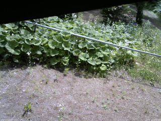 長野県菅平高原 ゆたか山荘 駐車場 2026/06/11 09:15