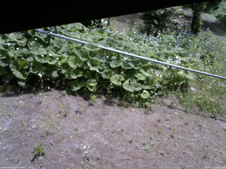 長野県菅平高原 ゆたか山荘 駐車場 2026/06/11 09:45