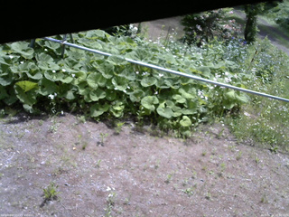 長野県菅平高原 ゆたか山荘 駐車場 2026/06/11 10:00