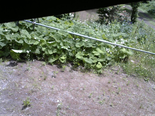 長野県菅平高原 ゆたか山荘 駐車場 2026/06/11 10:30