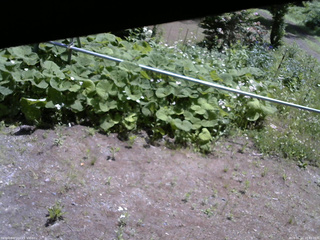 長野県菅平高原 ゆたか山荘 駐車場 2026/06/11 10:45