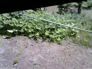 長野県菅平高原 ゆたか山荘 駐車場 2026/06/11 11:00