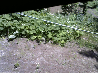 長野県菅平高原 ゆたか山荘 駐車場 2026/06/11 11:30