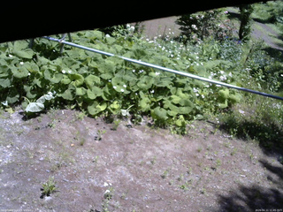 長野県菅平高原 ゆたか山荘 駐車場 2026/06/11 11:45