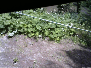 長野県菅平高原 ゆたか山荘 駐車場 2026/06/11 12:00