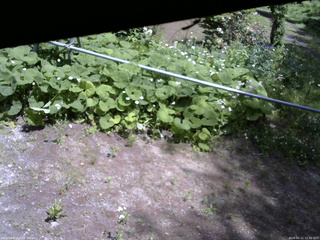 長野県菅平高原 ゆたか山荘 駐車場 2026/06/11 12:30