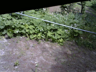 長野県菅平高原 ゆたか山荘 駐車場 2026/06/11 12:45