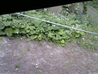 長野県菅平高原 ゆたか山荘 駐車場 2026/06/11 13:00