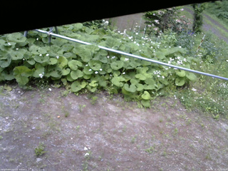 長野県菅平高原 ゆたか山荘 駐車場 2026/06/11 13:15