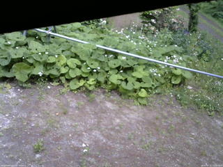 長野県菅平高原 ゆたか山荘 駐車場 2026/06/11 13:30