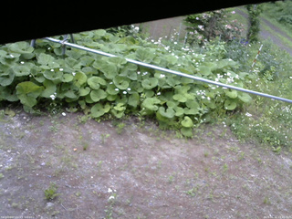 長野県菅平高原 ゆたか山荘 駐車場 2026/06/11 13:45