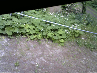 長野県菅平高原 ゆたか山荘 駐車場 2026/06/11 14:00