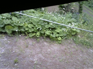 長野県菅平高原 ゆたか山荘 駐車場 2026/06/11 14:30