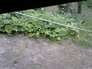 長野県菅平高原 ゆたか山荘 駐車場 2026/06/11 14:45