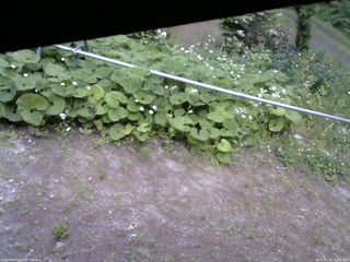 長野県菅平高原 ゆたか山荘 駐車場 2026/06/11 15:00