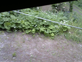 長野県菅平高原 ゆたか山荘 駐車場 2026/06/11 15:15